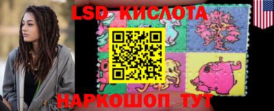 стаф Бийск