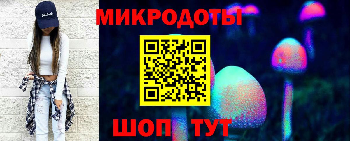 Карталы  Галлюциногенные грибы Psilocybe  Вход с VPN 